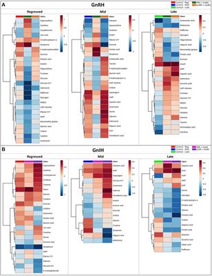 Metabolic Changes During Growth and Reproductive Phases in the Liver of Female Goldfish (Carassius auratus)